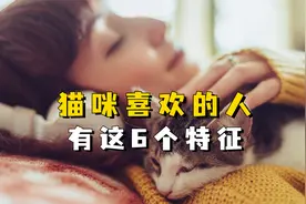 不瞒你说，猫咪喜欢的人有这6个特征！视频封面