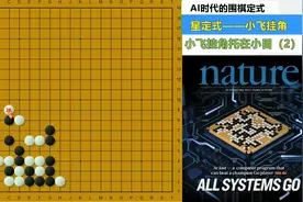 AI时代的星定式（2）：小飞挂角后托在小目定式的禁忌与AI改进！视频封面