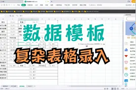 Excel复杂表格录入容易出错？有了数据录入模板再不担心录错列视频封面