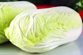 怎样能挑选到优质的白菜？菜场大妈教我几招，白菜个个优质又好吃视频封面