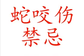 蛇咬伤禁忌视频封面