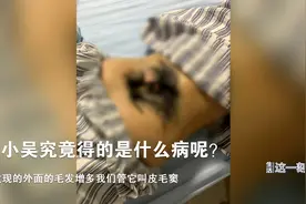 罕见！花季女孩染“怪病”后腰长出浓密毛发视频封面