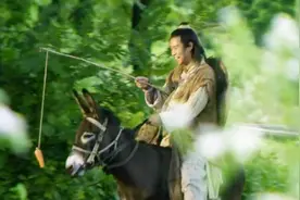 大笑江湖：前面放胡萝卜让驴走路，本以为是假的，小沈阳做到了视频封面