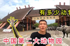 中国第二大AAAAA级动物园，动物都来自世界各地，这些都没见过！视频封面