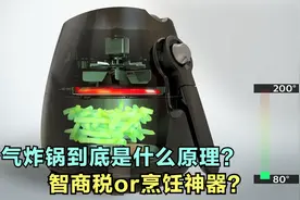 空气炸锅是什么原理？看完就知道为什么大家都喜欢这个烹饪神器了视频封面