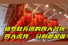 杨罗耿兵团的四大名将，四大虎将，分别都是谁？视频封面