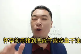 怀孕的母猪到底能不能吃鱼干油？视频封面