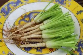 香菜根别扔了，放锅里煮一煮，原来作用这么厉害，真的太实用了视频封面