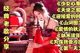 【森屿倾城】林外鸣鸠春雨歇，屋头初日杏花繁视频封面