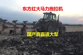 简单体验东方红大马力拖拉机翻地作业，配国产真霸道大犁效果很好视频封面