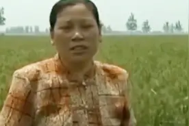 农妇清理茅草时 竟挖出上百克拉的大钻石 与家人商量决定上交国家视频封面