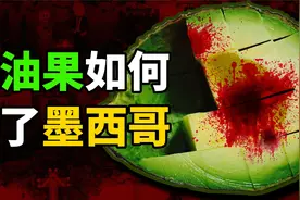 墨西哥牛油果的血泪史，超级水果的营销骗局，竟造就黑色产业链！视频封面