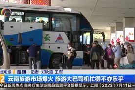云南旅游市场爆火 旅游大巴司机忙得不亦乐乎视频封面