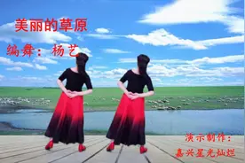 优美快三华尔兹《美丽的草原》背面演绎，旋律动听，舞步简单好看视频封面