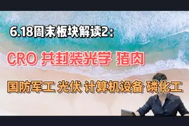 周末板块解读2：CRO，CPO，猪肉，光伏，计算机设备，磷化工等视频封面