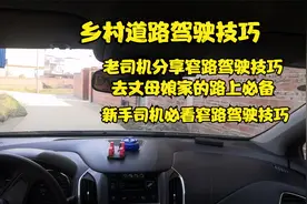 老司机分享农村道路窄路驾驶技巧，新手司机回村旅游必备视频封面