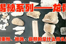 揭秘系列——龙骨：泥沙、增重粉、掺伪，你熬的是什么骨头汤？视频封面