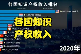 全球各国的知识产权收入排名：阿美一枝独秀，中国迎头追赶视频封面