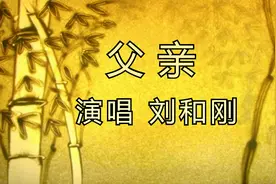 刘和刚《父亲》想想你的背影，我感受了坚韧视频封面