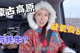 外地人来蒙古高原缺氧高反?姑娘回应网友提问,1000米海拔有牦牛？视频封面