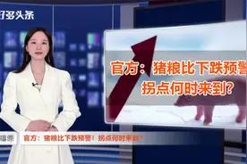 官方：猪粮比下跌预警！拐点何时来到？看中小型散户的去栏节奏视频封面