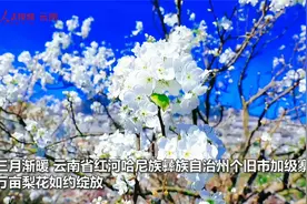 云南万亩梨花盛如海 美丽乡村入画来视频封面
