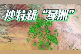 沙特沙漠变“农田”农产品还提供出口？怎么做到的视频封面