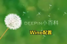 Wine 配置教程视频封面