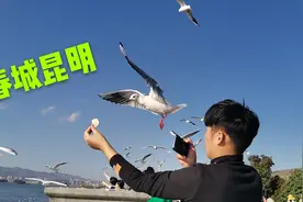 昆明的冬天是怎样的？跳跳和男友外出游玩，感叹:这里生活好惬意视频封面