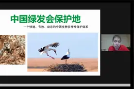 周晋峰：绿会保护地——快速、有效、动态的生物多样性保护体系视频封面
