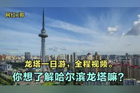 哈尔滨龙塔一日游（详细全过程）视频封面
