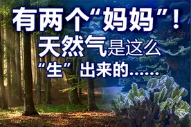 有两个“妈妈”，天然气是这么“生”出来的......视频封面