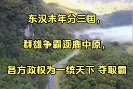 东汉末年分三国，群雄争霸逐鹿中原，各方政权为一统天下 夺取霸视频封面