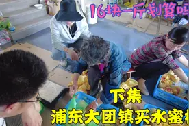 上海买正宗南汇水蜜桃，一定要到当地人家里，250块足足两大袋视频封面
