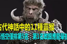 上古神话中的11种灵猴，孙悟空仅排在第5位！视频封面