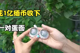 翡翠淘货日记，花1亿缅币收下的极品蛋面，你觉得值吗？视频封面