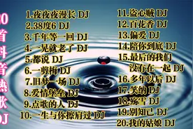 20首抖音DJ《夜夜夜漫长DJ》《一剪梅DJ》《都说DJ》《殇雪DJ》视频封面