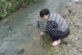 农村捡石头有多赚钱？收绿松石的大叔告诉你真实价格，真值钱视频封面