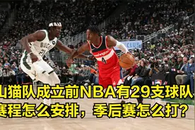 山猫队成立前NBA有29支球队，赛程怎么安排，季后赛怎么打？视频封面