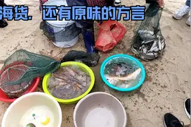 厦门岛内原汁原味的海货，还有本地方言，你听得懂吗视频封面