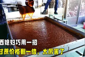 美女远嫁广西，一招将甘蔗价格翻倍，一天就能卖500斤，厉害！视频封面
