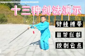 让你一次看够，13种太极剑法规范动作全演示，两个字：过瘾视频封面