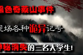 黑色奇莱案:中国台湾三名大学生登山探险,留下诡异记号神秘消失!视频封面