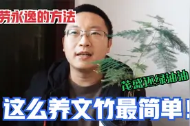 文竹怎么养茂盛绿油油？小伙教你简单水培来搞定，方法简单不繁琐视频封面