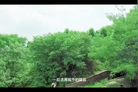 江夏湖泗：武汉最南端的古镇，美得不可方物，你去过吗？视频封面