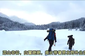 常年大雪齐腰的深山老林，国外美女进山野外生存，这次带了个劳力视频封面