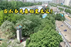 都说吕不韦是秦始皇的生父，是否真的如此？带你揭开这千年迷雾视频封面
