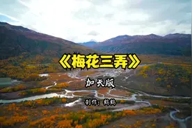 《梅花三弄》纯音乐加长完整版，心清则静，心静则清，养心养生视频封面