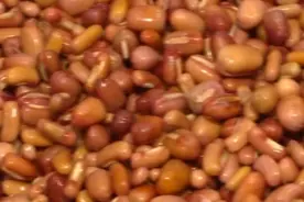 家常豆馅的制作方法来了！做法简单，软糯香甜超好吃
