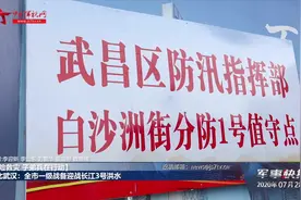 湖北武汉：全市一级战备迎战长江3号洪水视频封面